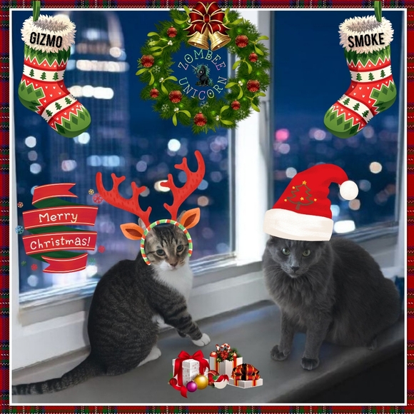 😻Gizmo & Smoke💘 - Picture 1 of 16